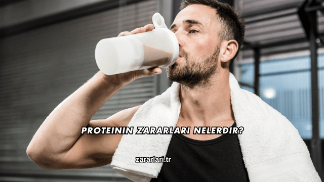 Proteinin Zararları Nelerdir?