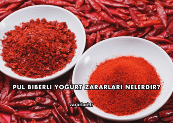 Pul Biberli Yoğurt Zararları Nelerdir?