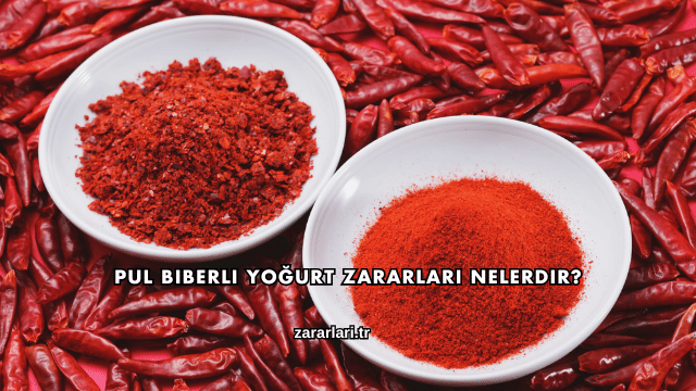 Pul Biberli Yoğurt Zararları Nelerdir?