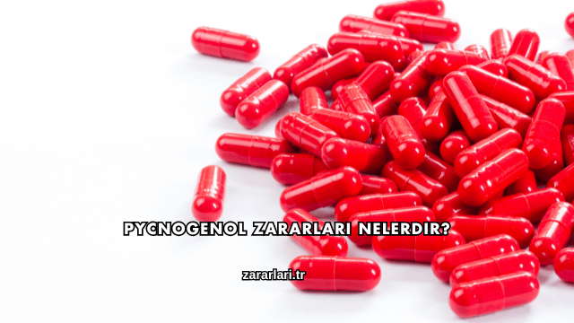 Pycnogenol Zararları Nelerdir?