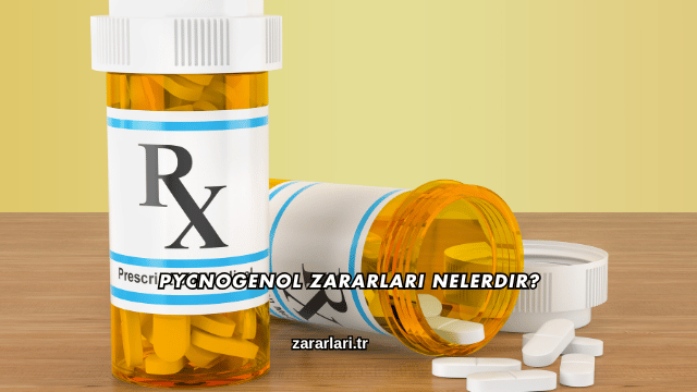 Pycnogenol Zararları Nelerdir?