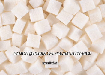 Rafine Şekerin Zararları Nelerdir?
