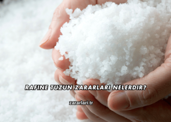 Rafine Tuzun Zararları Nelerdir?