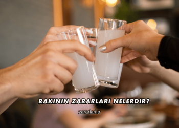 Rakının Zararları Nelerdir?