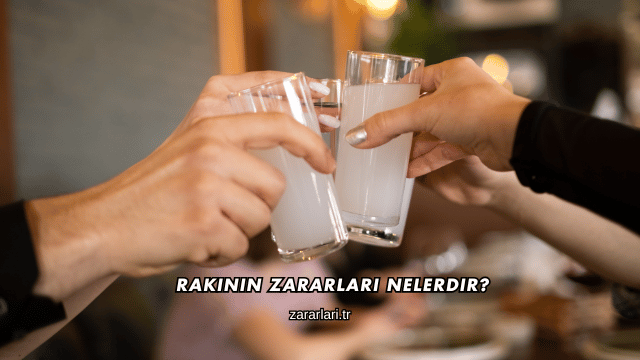 Rakının Zararları Nelerdir?