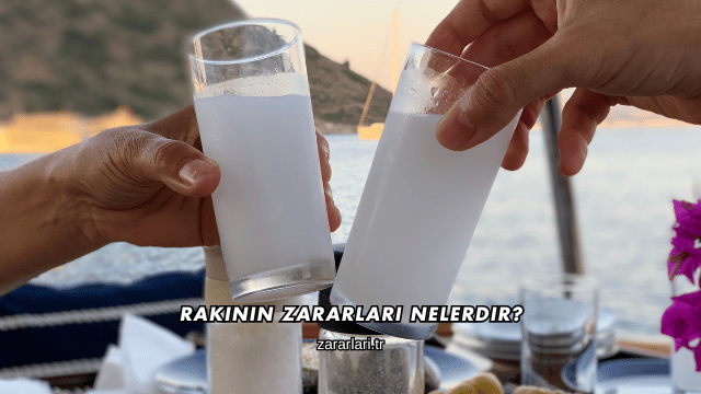 Rakının Zararları Nelerdir?