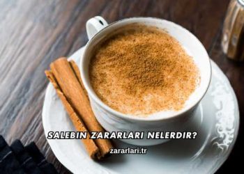 Salebin Zararları Nelerdir?