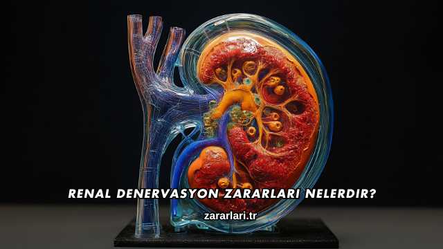 Renal Denervasyon Zararları Nelerdir?