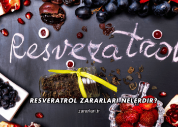 Resveratrol Zararları Nelerdir?