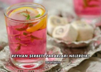 Reyhan Şerbeti Zararları Nelerdir?