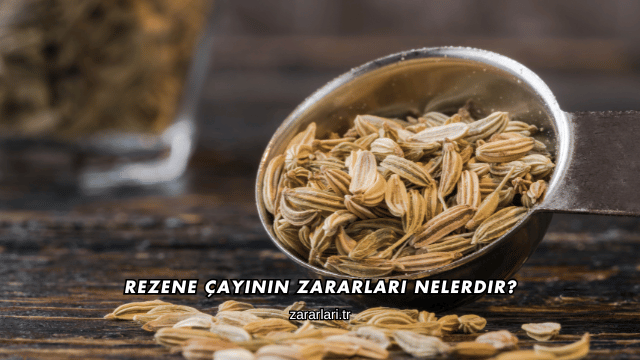 Rezene Çayının Zararları Nelerdir?