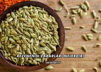 Rezenenin Zararları Nelerdir?