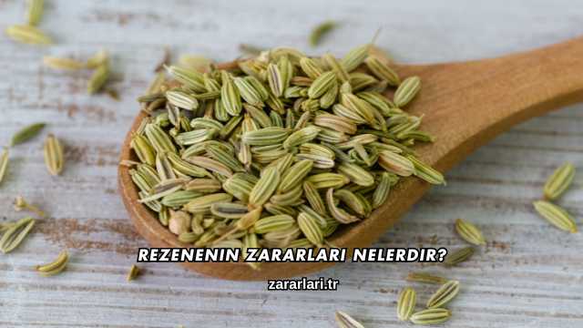 Rezenenin Zararları Nelerdir?