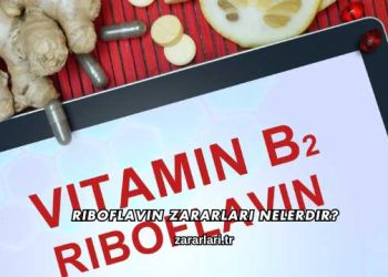 Riboflavin Zararları Nelerdir?
