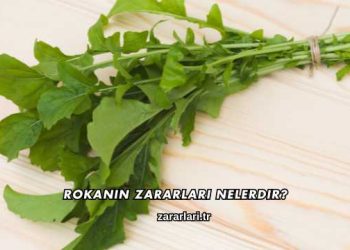 Rokanın Zararları Nelerdir?