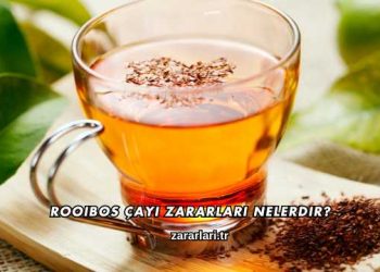 Rooibos Çayı Zararları Nelerdir?