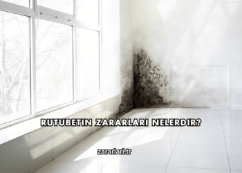 Rutubetin Zararları Nelerdir?