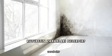 Rutubetin Zararları Nelerdir?