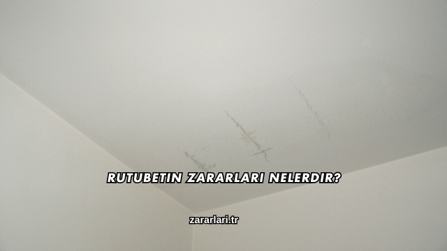 Rutubetin Zararları Nelerdir?