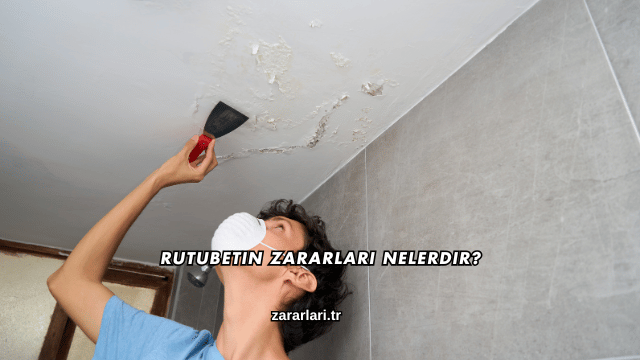 Rutubetin Zararları Nelerdir?