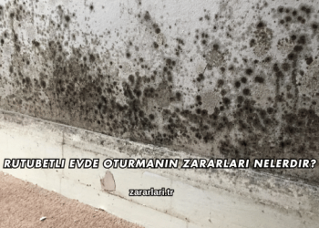 Rutubetli Evde Oturmanın Zararları Nelerdir?