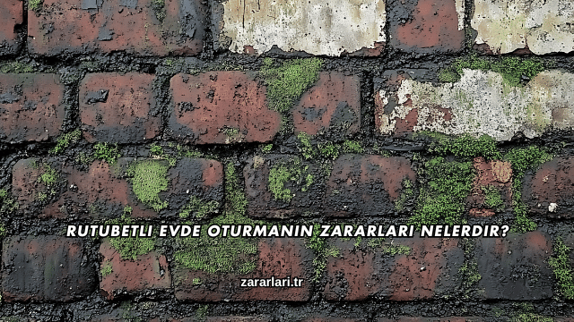 Rutubetli Evde Oturmanın Zararları Nelerdir?