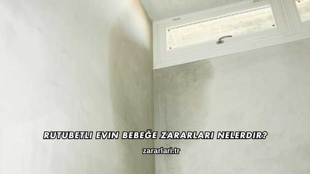 Rutubetli Evin Bebeğe Zararları Nelerdir?