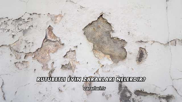 Rutubetli Evin Zararları Nelerdir?