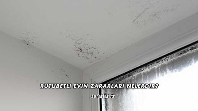 Rutubetli Evin Zararları Nelerdir?