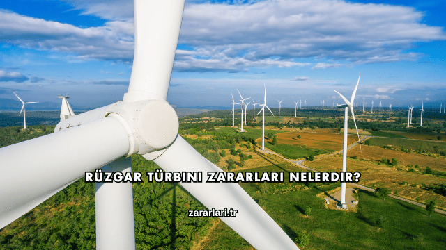 Rüzgar Türbini Zararları Nelerdir?