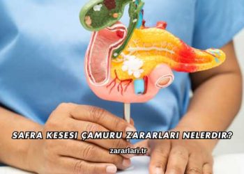 Safra Kesesi Çamuru Zararları Nelerdir?