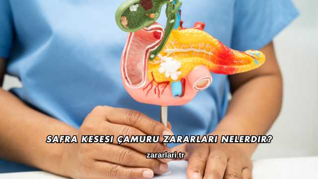 Safra Kesesi Çamuru Zararları Nelerdir?
