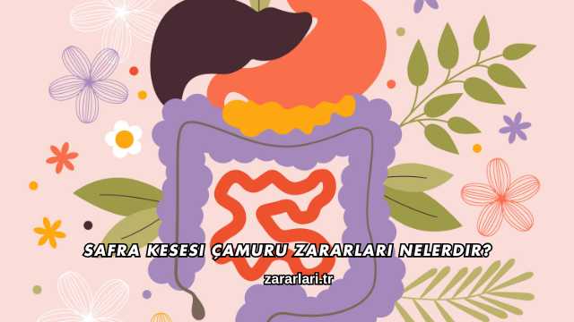 Safra Kesesi Çamuru Zararları Nelerdir?