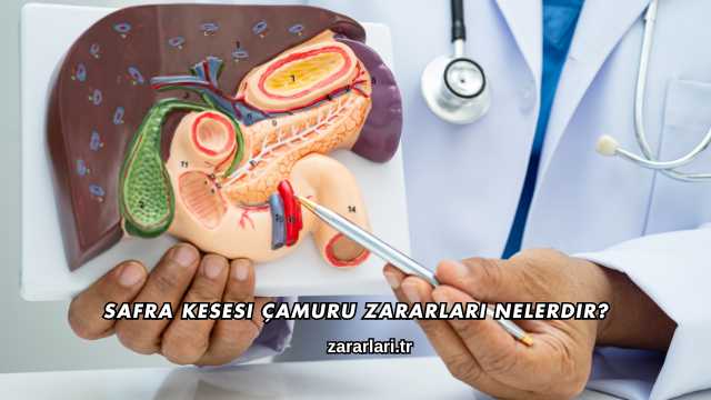 Safra Kesesi Çamuru Zararları Nelerdir?