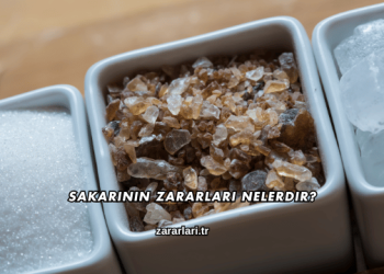 Sakarinin Zararları Nelerdir?