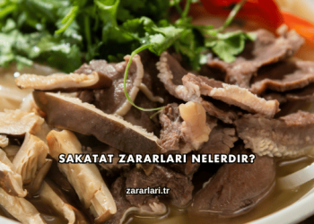 Sakatat Zararları Nelerdir?