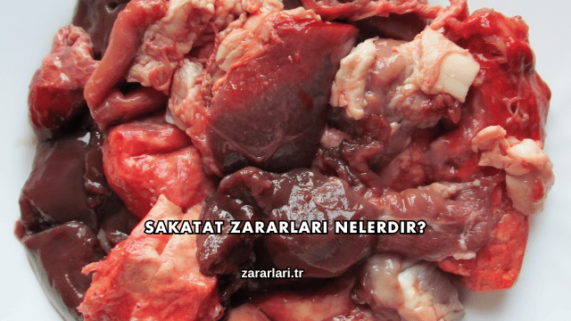 Sakatat Zararları Nelerdir?