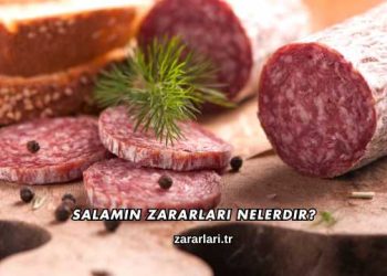 Salamın Zararları Nelerdir?