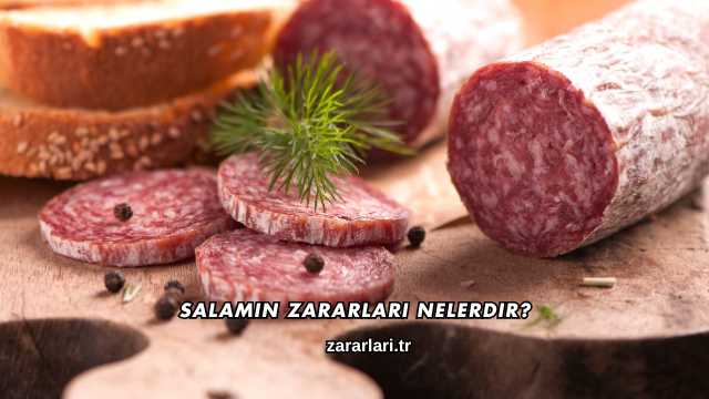 Salamın Zararları Nelerdir?