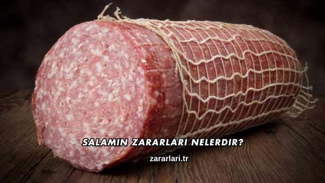 Salamın Zararları Nelerdir?