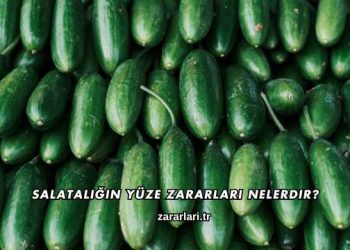 Salatalığın Yüze Zararları Nelerdir?