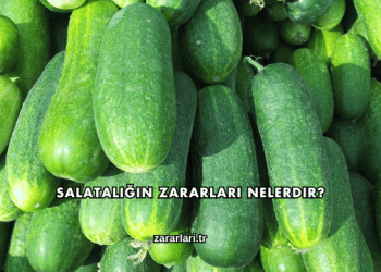 Salatalığın Zararları Nelerdir?
