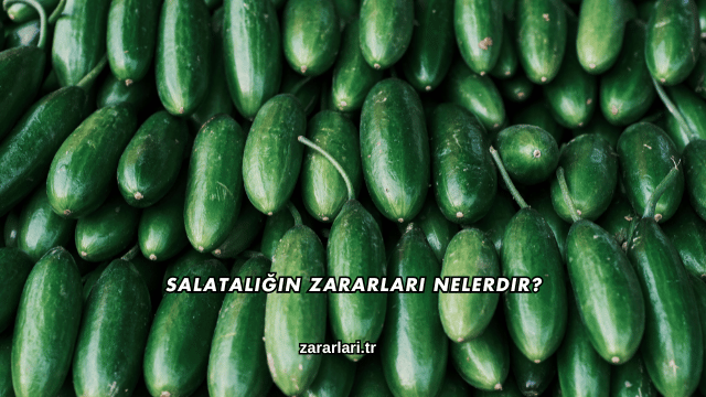 Salatalığın Zararları Nelerdir?