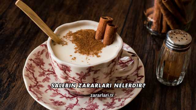 Salebin Zararları Nelerdir?