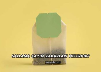 Sallama Çayın Zararları Nelerdir?