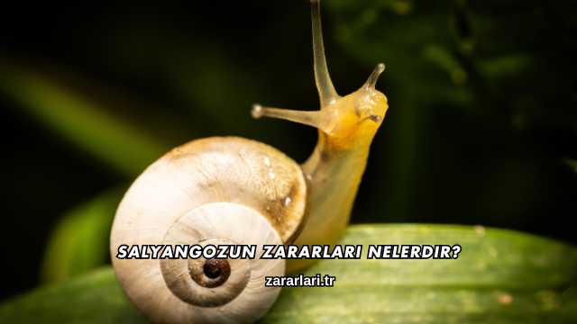 Salyangozun Zararları Nelerdir?