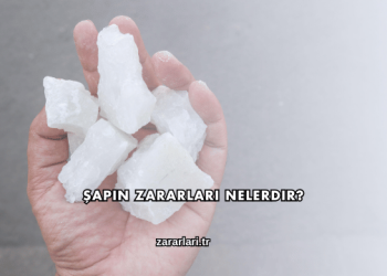 Şapın Zararları Nelerdir?