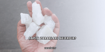 Şapın Zararları Nelerdir?