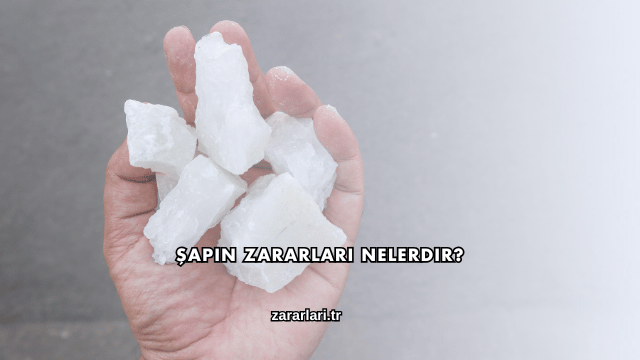 Şapın Zararları Nelerdir?