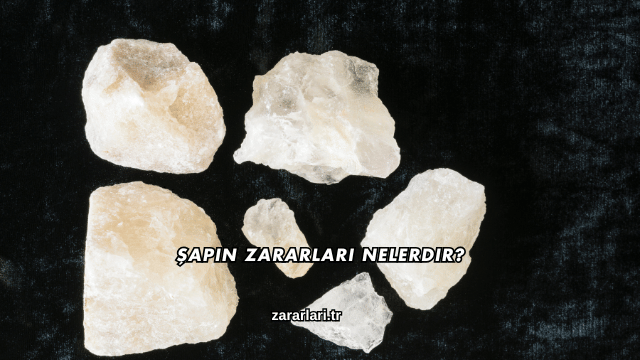 Şapın Zararları Nelerdir?